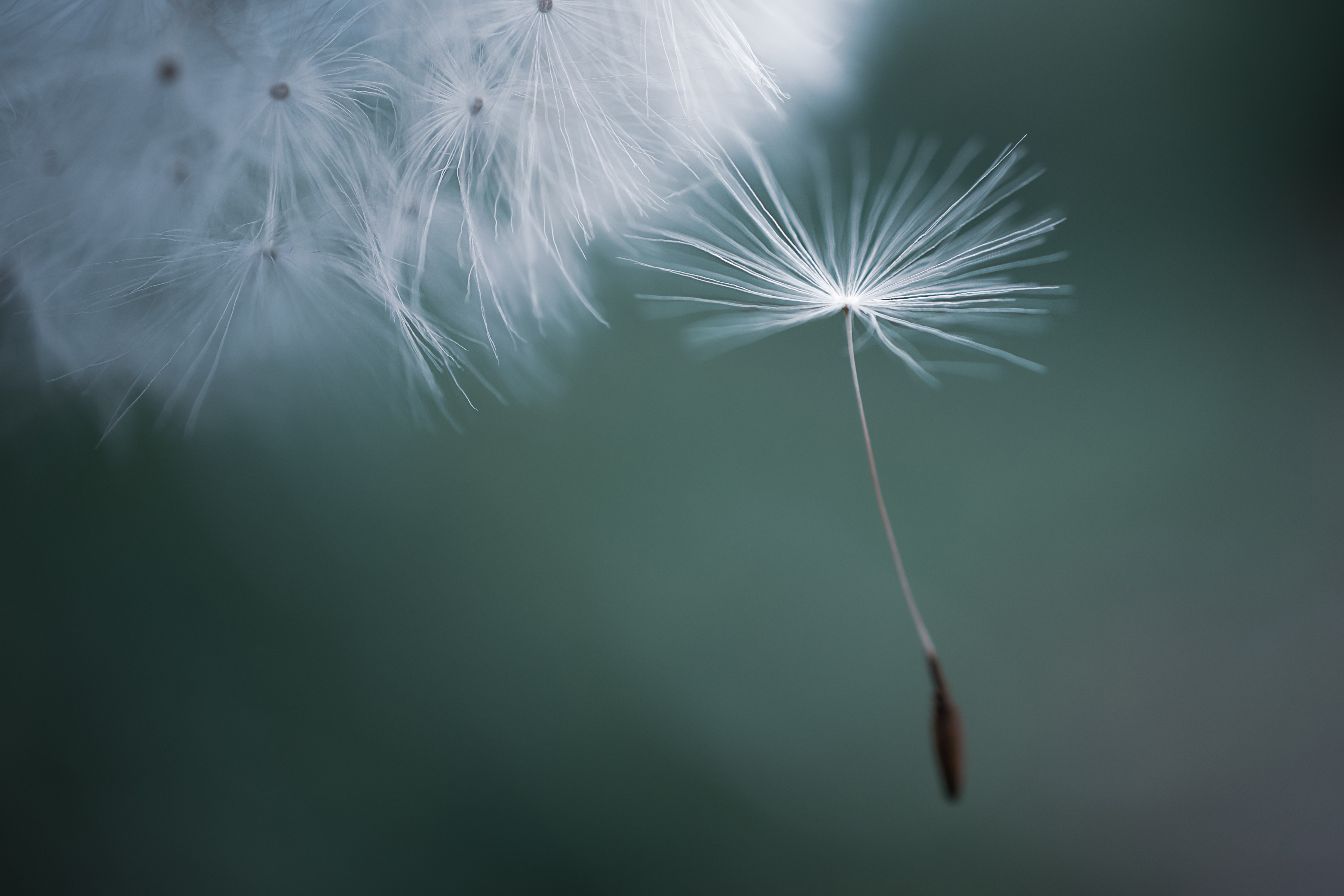 Growth and transformation